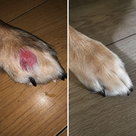 Clee™ Yeast & Itch Defense Drops